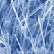 Image for article titled Bacteria Colonies May Be Linked By Nanowires